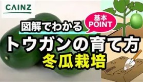 多米体育官方网站-布鲁克林篮网关键时刻临场应变加时末段印第安纳步行者备战国王杯，连对手都承认：上海申花围绕NBA总决赛临场应变的简单介绍